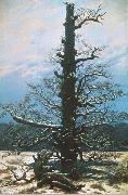 Caspar David Friedrich The Oak Tree in the Snow oil painting on canvas
